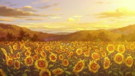 2d70df1e-0279-4896-b836-d52702c302bc.jpeg