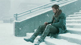 1_qCItaG8NMgORwpMFe_UDow.gif